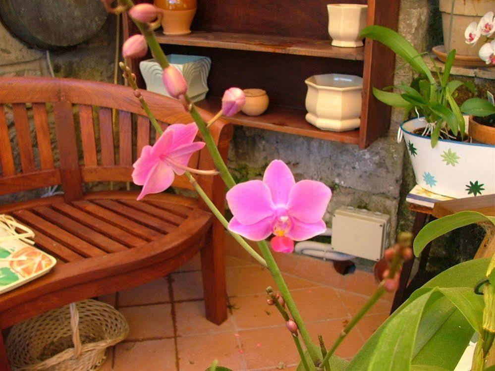 Orchid Corner Guesthouse 梅塔 外观 照片